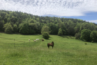 à la ferme