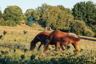 Ranch des Mearas