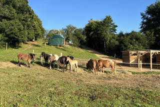 Ranch des Mearas