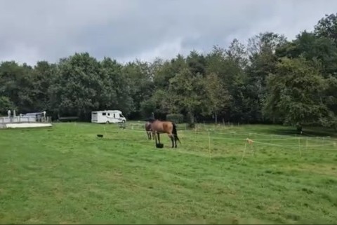 TL RANCH CAMPING A LA FERME