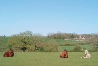 CE de la Baronnerie