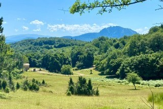 Domaine du Bouchard