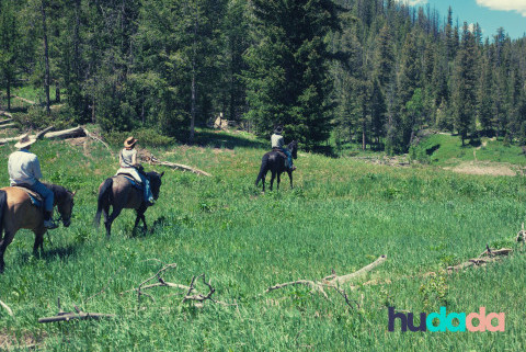 Partir en randonnée à cheval en isère