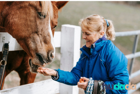 Alimentation du cheval, le guide pour bien nourrir vos chevaux