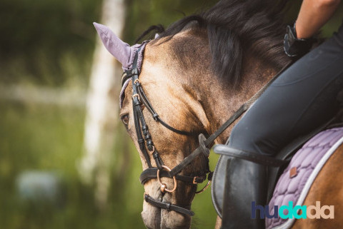 Qu'est ce que l'endurance équestre ?