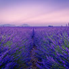 Hébergements randonnées à cheval Provence-Alpes-Côte d'Azur